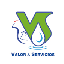Cliente 10