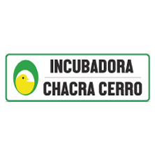 Cliente 4